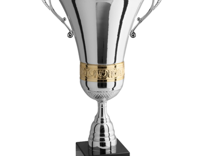 Trofeo con manici 50 cm da 2 Kg | Cod. 1.093