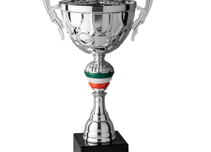 Trofeo in metallo da 44 cm con manici | Cod. 7.092