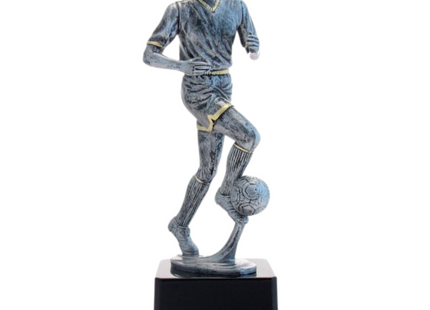 Premiazioni personalizzate premio calcio 15.281