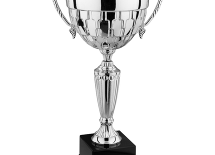 Trofeo in metallo da 43 cm con manici | Cod. 7.561