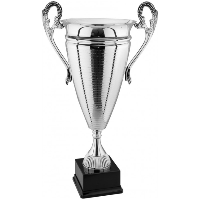 Trofeo con manici 61 cm da 3,8 Kg | Cod. 1.063