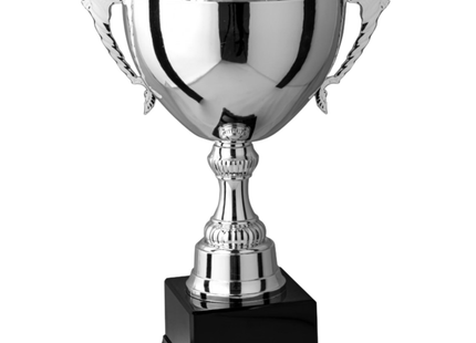 Trofeo in metallo da 32 cm con manici | Cod. 7.262