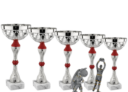 Set completo 7 pezzi premiazioni calcistiche gran risparmio | Cod. Saturno