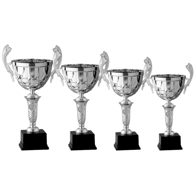 Set 4 Trofei con manici da 42 - 38 - 36 - 33 cm | Cod. 7.019