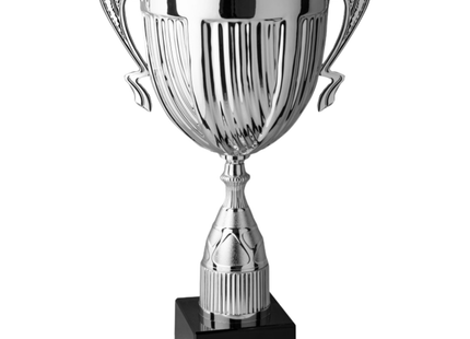 Trofeo con manici da 43 cm, peso da 0,4 Kg | Cod. 4.063
