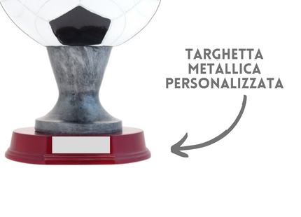 Premiazioni personalizzate premio calcio 15.301