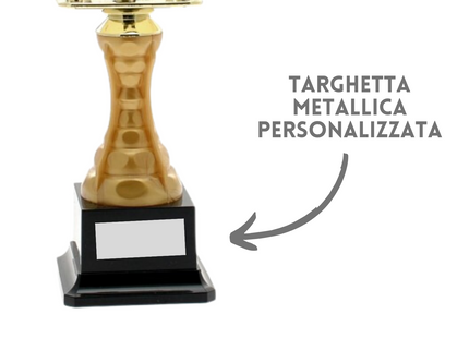 Premiazioni personalizzate premio calcio 15.275