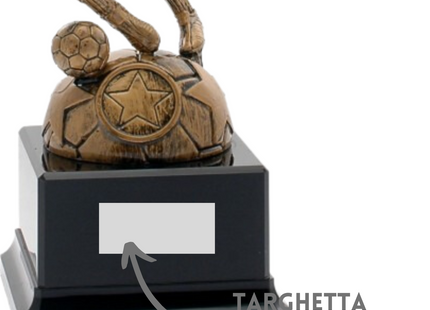 Premiazioni personalizzate premio calcio 14.543