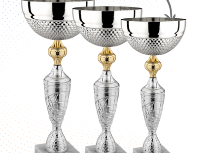 Set completo 5 pezzi premiazioni calcistiche | Cod. Nettuno