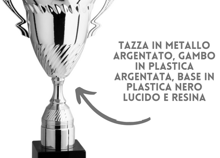 Premiazioni personalizzate e trofei 1.151