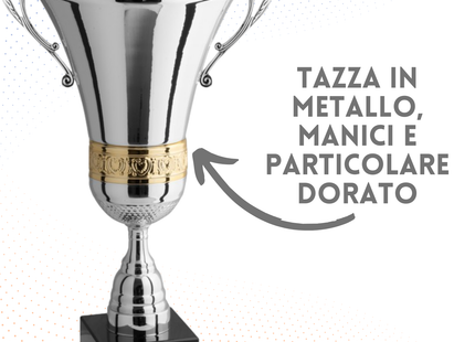 Trofeo con manici 50 cm da 2 Kg | Cod. 1.093