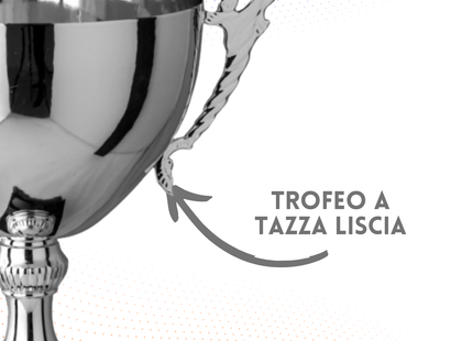 Trofeo in metallo da 25 cm con manici | Cod. 7.264