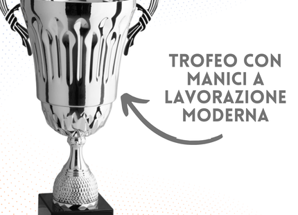 Trofeo con manici da 40 cm, peso da 1,3 Kg | Cod. 3.075