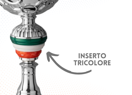 Trofeo in metallo da 41 cm con manici | Cod. 7.093