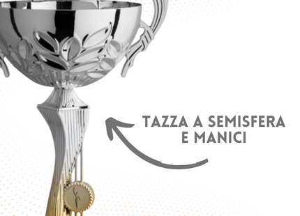 Trofeo in metallo da 43 cm con manici | Cod. 6.043