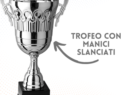 Trofeo con manici da 35 cm, peso da 1 Kg | Cod. 4.443