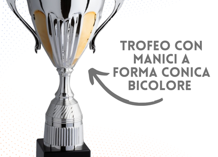 Trofeo con manici da 41 cm, peso da 1,8 Kg | Cod. 4.122