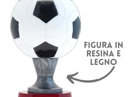 Premiazioni personalizzate premio calcio 15.301
