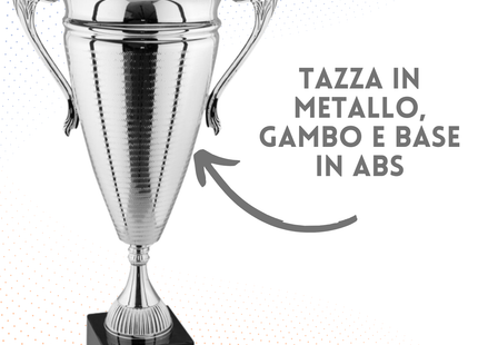 Trofeo con manici 61 cm da 3,8 Kg | Cod. 1.063