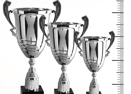 Tris di premiazioni personalizzate con manici 70 - 65 - 57 cm | Cod. 1.101-T