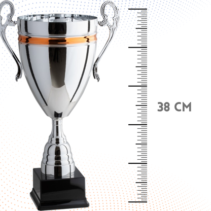 Trofeo con manici da 38 cm, peso da 1 Kg | Cod. 1.264