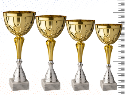 Set 4 Coppe da 43 - 39 - 36 - 32 cm | Cod. 9.229G