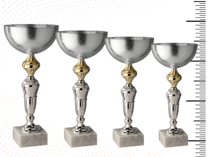 Set 4 Coppe da 38 - 36 - 34 - 32 cm | Cod. 11.139S