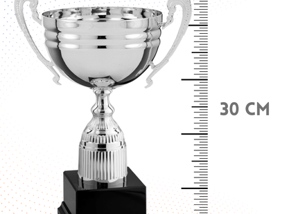 Trofeo in metallo da 30 cm con manici | Cod. 6.433