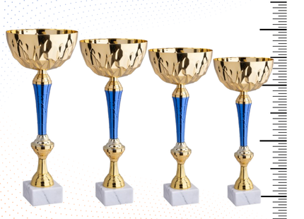 Set 4 Coppe da 41 - 39 - 36 - 33 cm | Cod. 11.569G