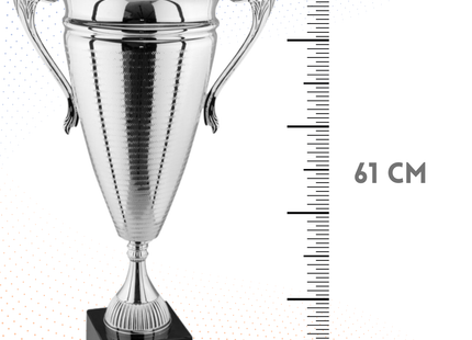 Trofeo con manici 61 cm da 3,8 Kg | Cod. 1.063