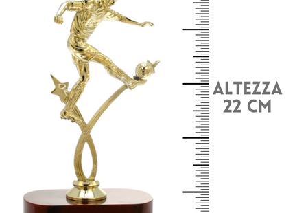 Premiazioni personalizzate premio calcio 14.535