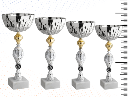Set 4 Coppe da 38 - 36 - 35 - 33 cm | Cod. 11.009S