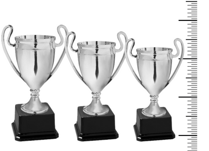 Set completo 3 coppe + 3 medaglie 1°, 2°, 3° posto | Cod. 12.299-M