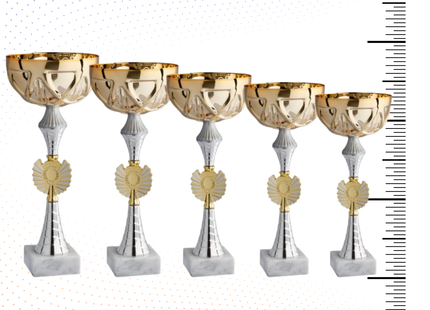 Set di 5 coppe personalizzate 37-33-30-27-25 cm | Cod. 12.019G