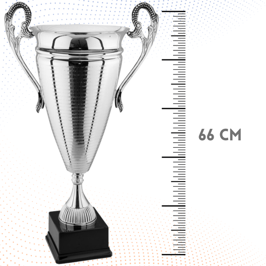 Trofeo con manici 66 cm da 4 Kg | Cod. 1.062