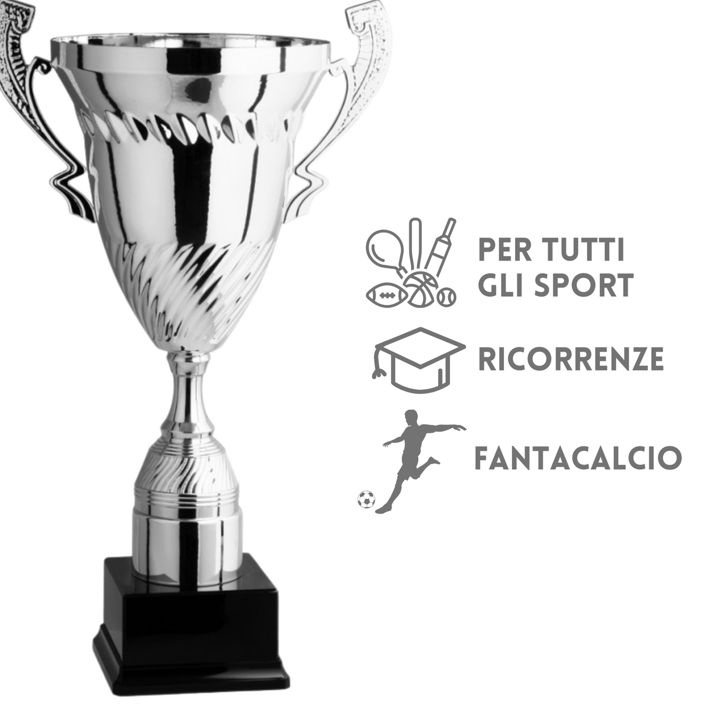 Trofeo prestigioso con manico 54 cm con 2,6 Kg di peso | Cod. 1.152