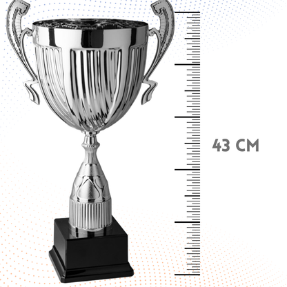 Trofeo con manici da 43 cm, peso da 0,4 Kg | Cod. 4.063
