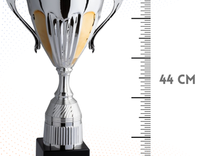 Trofeo con manici da 44 cm, peso da 1,8 Kg | Cod. 4.121