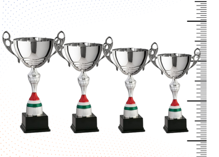 Set 4 Trofei con manici da 44 - 40 - 36 - 32 cm | Cod. 7.549