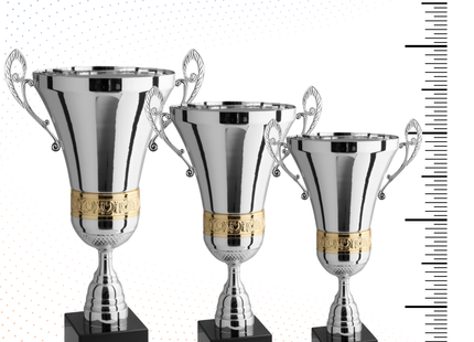Tris di premiazioni personalizzate con manici 62 - 55 - 50 cm | Cod. 1.092-T