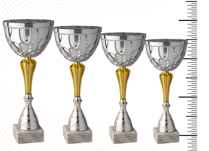 Set 4 Coppe da 43 - 39 - 36 - 32 cm | Cod. 9.229S