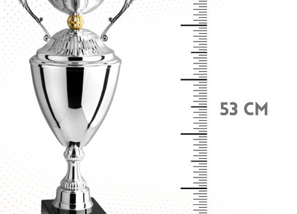 Trofeo con manici da 53 cm, peso da 1,9 Kg | Cod. 3.083