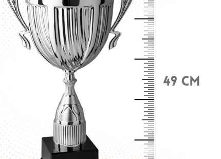 Trofeo con manici da 49 cm, peso da 0,7 Kg | Cod. 4.062