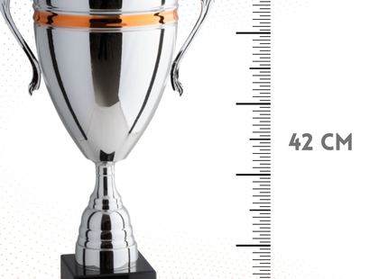 Trofeo con manici da 42 cm, peso da 1,15 Kg | Cod. 1.263