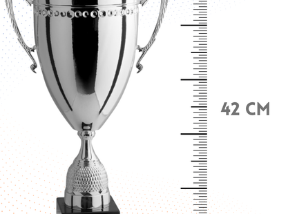 Trofeo con manici da 42 cm, peso da 1,1 Kg | Cod. 1.165