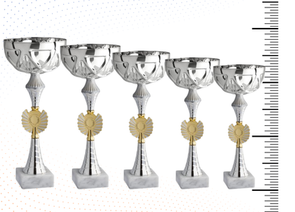 Set di 5 coppe personalizzate 37-33-30-27-25 cm | Cod. 12.019S