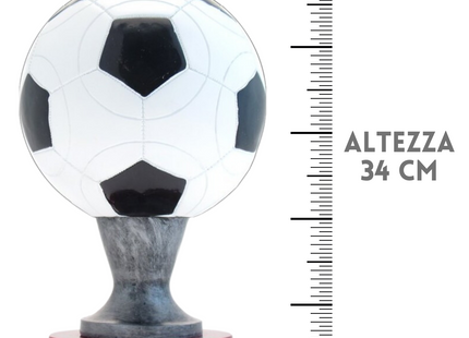 Premiazioni personalizzate premio calcio 15.301