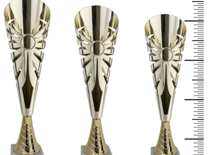 Tris di premiazioni personalizzate 36 - 34 - 31 cm | Cod. 12.969G