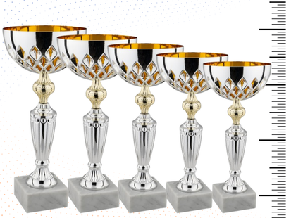 Set di coppe personalizzate 39-36-33-29-27 cm | Cod. 10.029