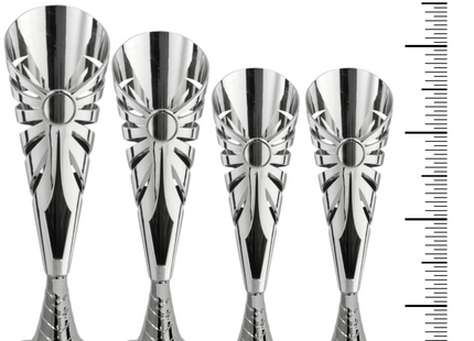 Set completo 6 pezzi premiazioni calcistiche gran risparmio | Cod. Marte 2